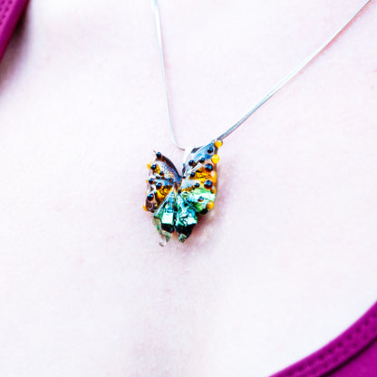 ANTALYA polyommatus icarus