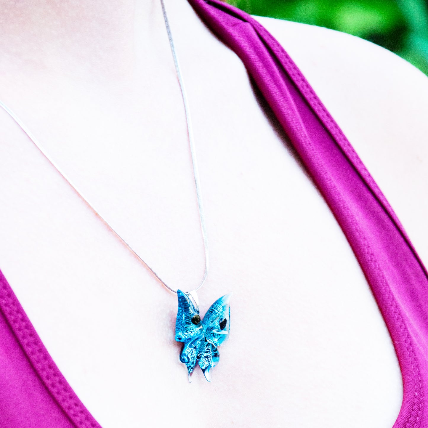 İSTANBUL BEYOĞLU pieris rapae