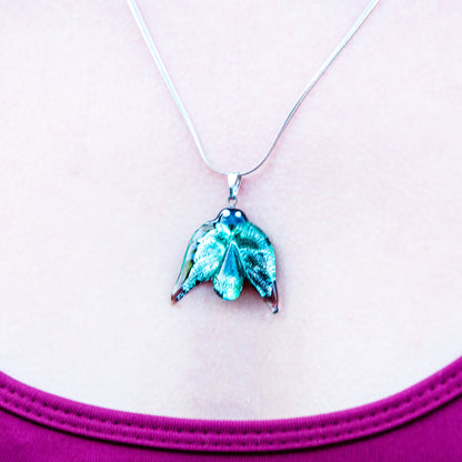 PAMUKKALE Daphnis nerii