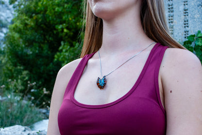 ANKARA pseudophilotes bavius